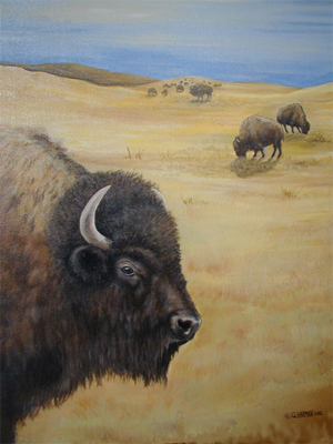 300x400 Wildlife Art Paintings - Buffalo Head Painting
