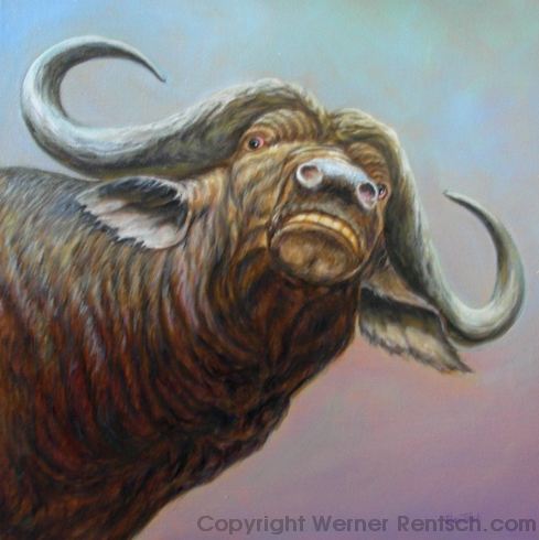 489x490 Wildlife Artist Werner Rentsch Wildlife Art Artists - Buffalo Head Painting