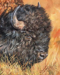 241x300 Buffalo Head Art Fine Art America - Buffalo Head Painting