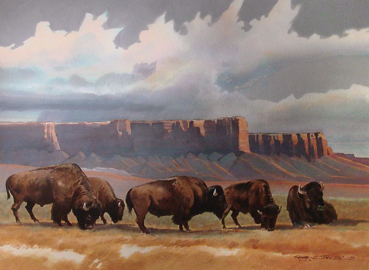 736x539 The 38 Best Art Images On Bison, Buffalo And Native - Buffalo Herd Painting