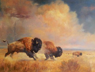 325x245 Buffalo Art Buffalo Paintings By Dave Merrill - Buffalo Herd Painting