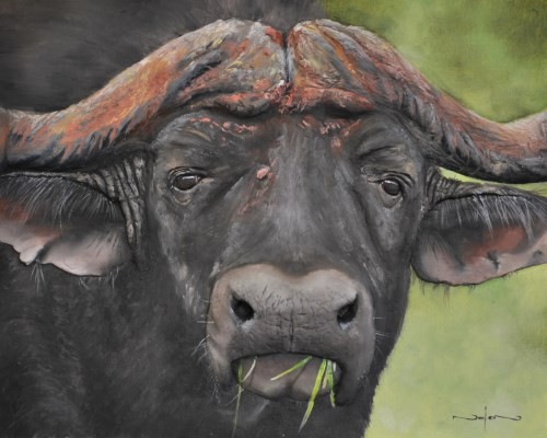 500x400 How To Paint A Buffalo In Oil Online Art Lessons - Buffalo Oil Painting