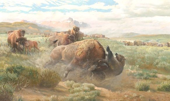 583x347 John Ford Clymer Oil Painting, Buffalo Kp John Ford Clymer - Buffalo Oil Painting