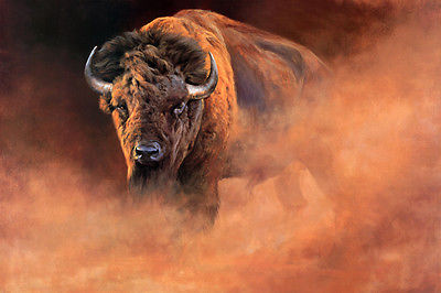 400x266 Oil Painting Hd Print Picture Animal Western Buffalo On Canvas - Buffalo Oil Painting