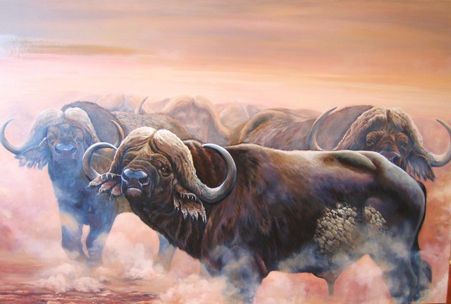 640x431 Suzanne Barrett Justis Artwork Cape Buffalo Original Painting - Buffalo Oil Painting