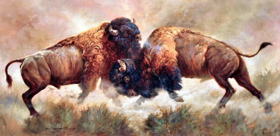 900x439 Buffalo Art Power Lift By Dave Merrill - Buffalo Oil Painting