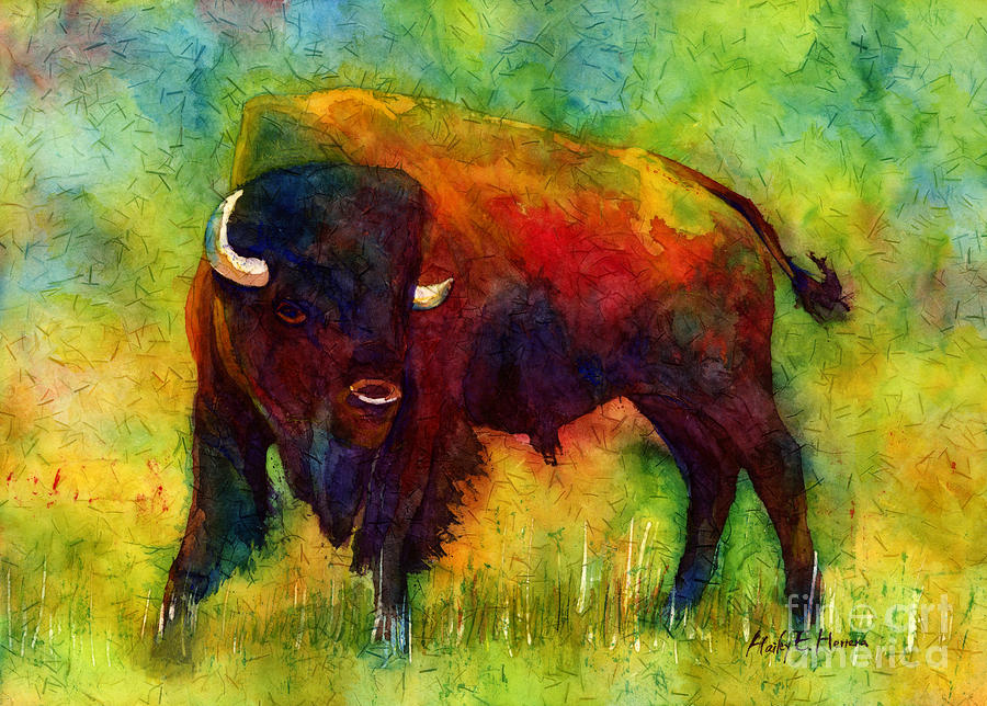 900x644 American Buffalo Painting By Hailey E Herrera - Buffalo Painting