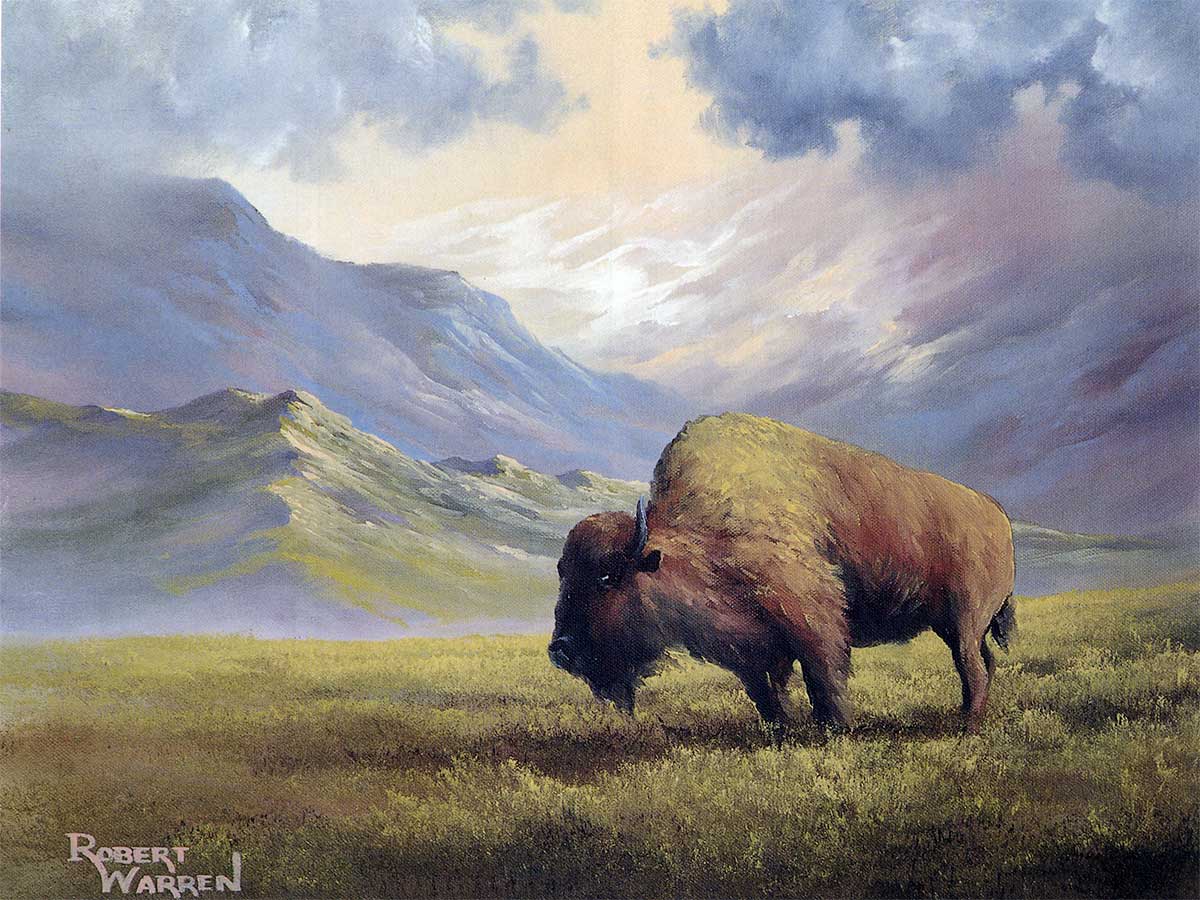 1200x900 Buffalo Mountain - Buffalo Painting