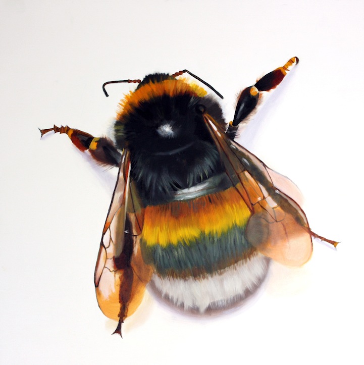 721x723 Extremely Detailed Large Scale Paintings Of Bugs - Bug Painting