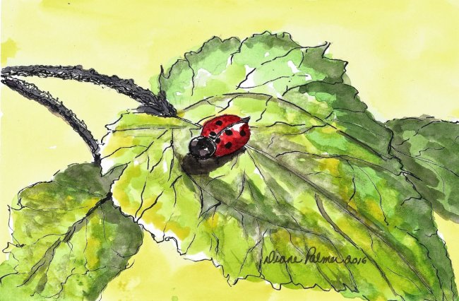 650x426 Hungry Lady Bug - Bug Painting