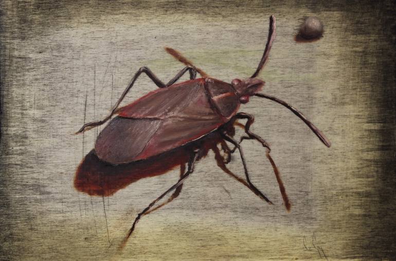 770x509 Saatchi Art Ember Bug Painting By Gyula - Bug Painting