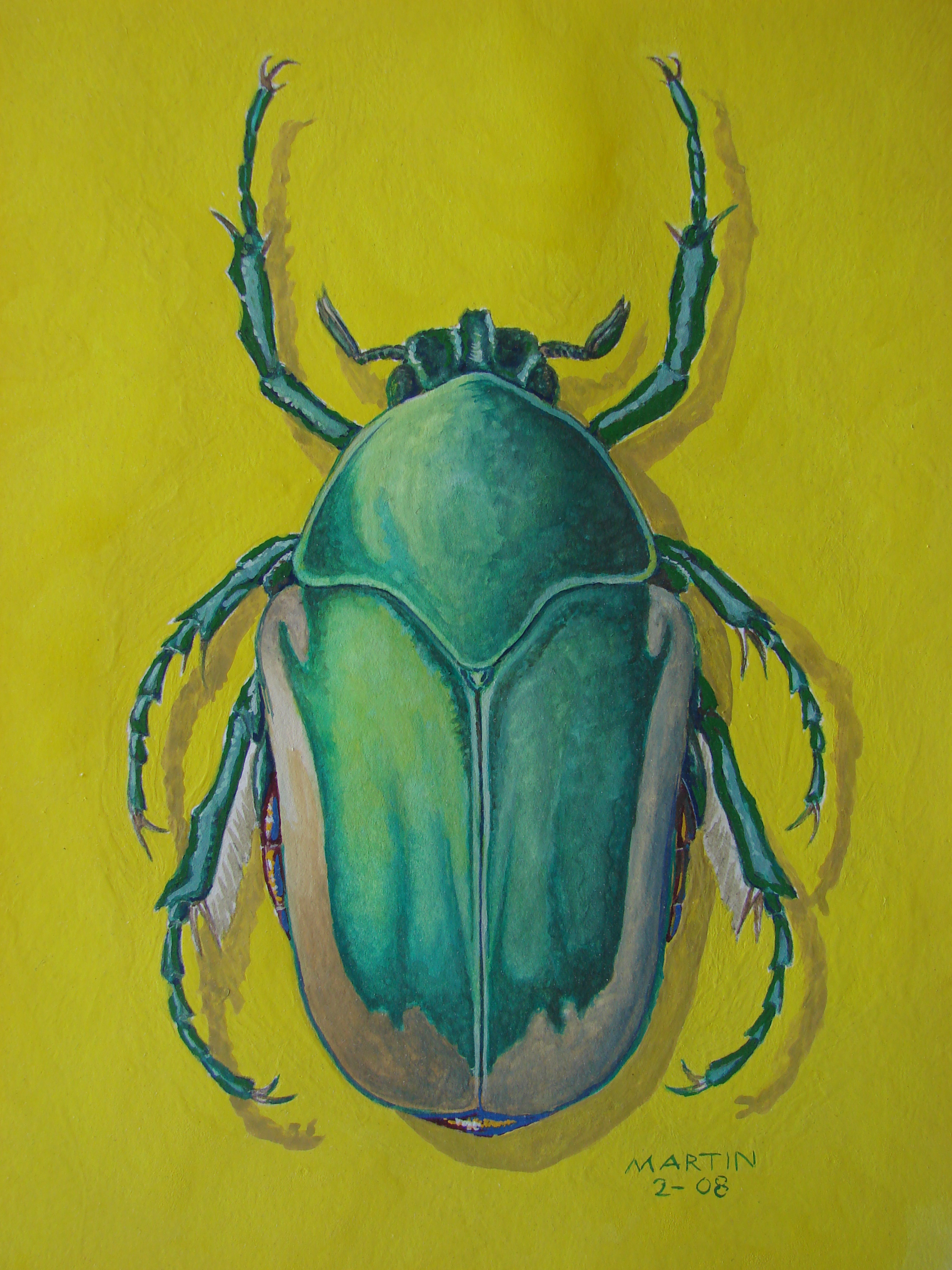 2304x3072 Sweet Turquoise Bug On Light Green Background - Bug Painting