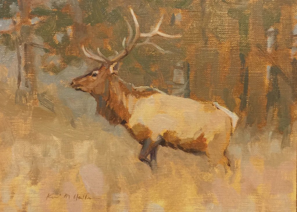 1023x730 Heading For Higher Ground. Wild Bull Elk Painting - Bull Elk Painting
