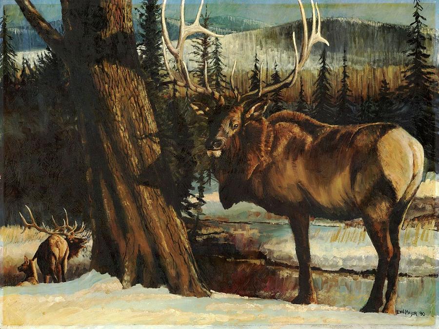 900x675 Mr Big Bull Elk Painting By Emil F Major - Bull Elk Painting