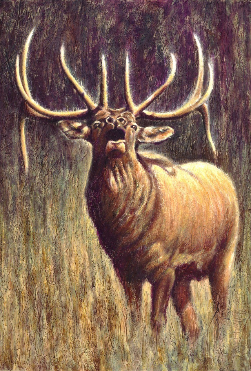 866x1280 Bull Elk, Hunting, Faux Finishing, Bend Oregon, Painting, Art, Oil - Bull Elk Painting