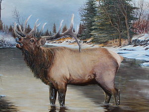 300x225 Bull Elk In River Painting By Roberta Wise - Bull Elk Painting