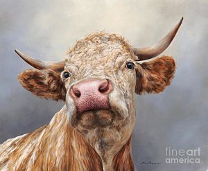 300x247 Cow Head Paintings Fine Art America - Bull Head Painting