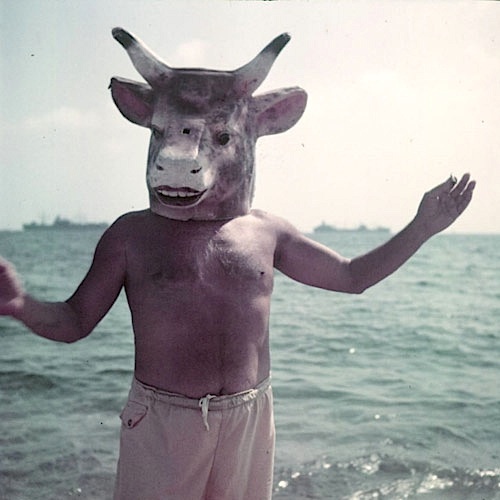 500x500 Epph Picasso's Bull's Head (1942) - Bull Head Painting