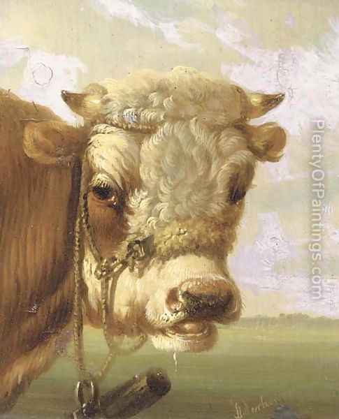 485x600 A Bull's Head Oil Painting Reproduction By Albertus Verhoesen - Bull Head Painting