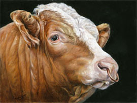 270x203 Fine Art Paintings Of Cattle - Bull Head Painting