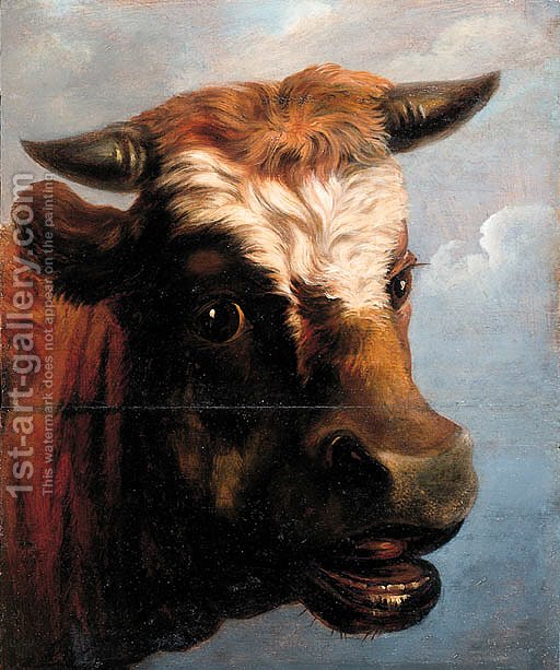 512x613 Head Of A Bull (After) Jacob Van Strij Reproduction 1st Art Gallery - Bull Head Painting