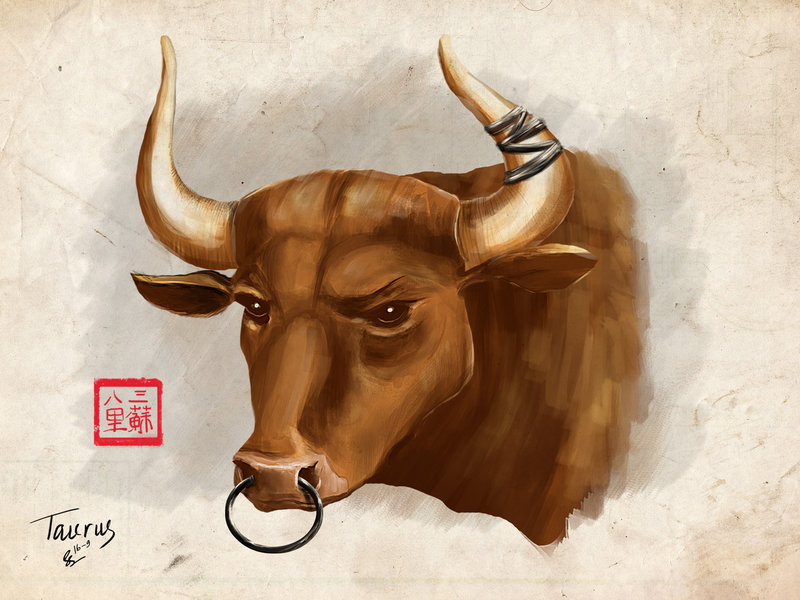 800x600 Bull Painting (Taurus) By Somesoularts - Bull Head Painting
