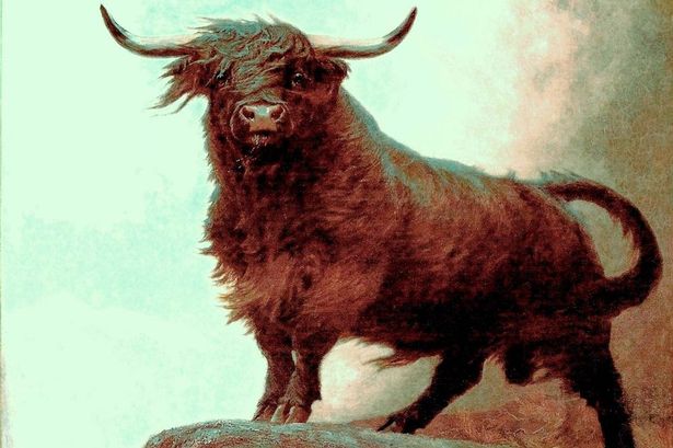 615x409 Lost Masterpiece' Painting Of Scottish Bull To Go On Display - Bull Painting