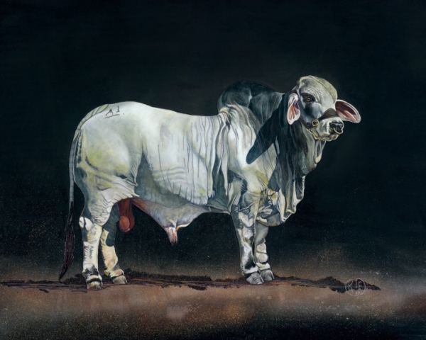 600x480 The Bull Artist Collection - Bull Painting