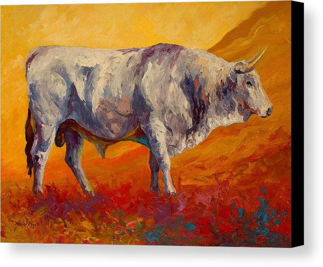 661x546 White Bull Canvas Print Canvas Art By Marion Rose Canvases - Bull Painting On Canvas