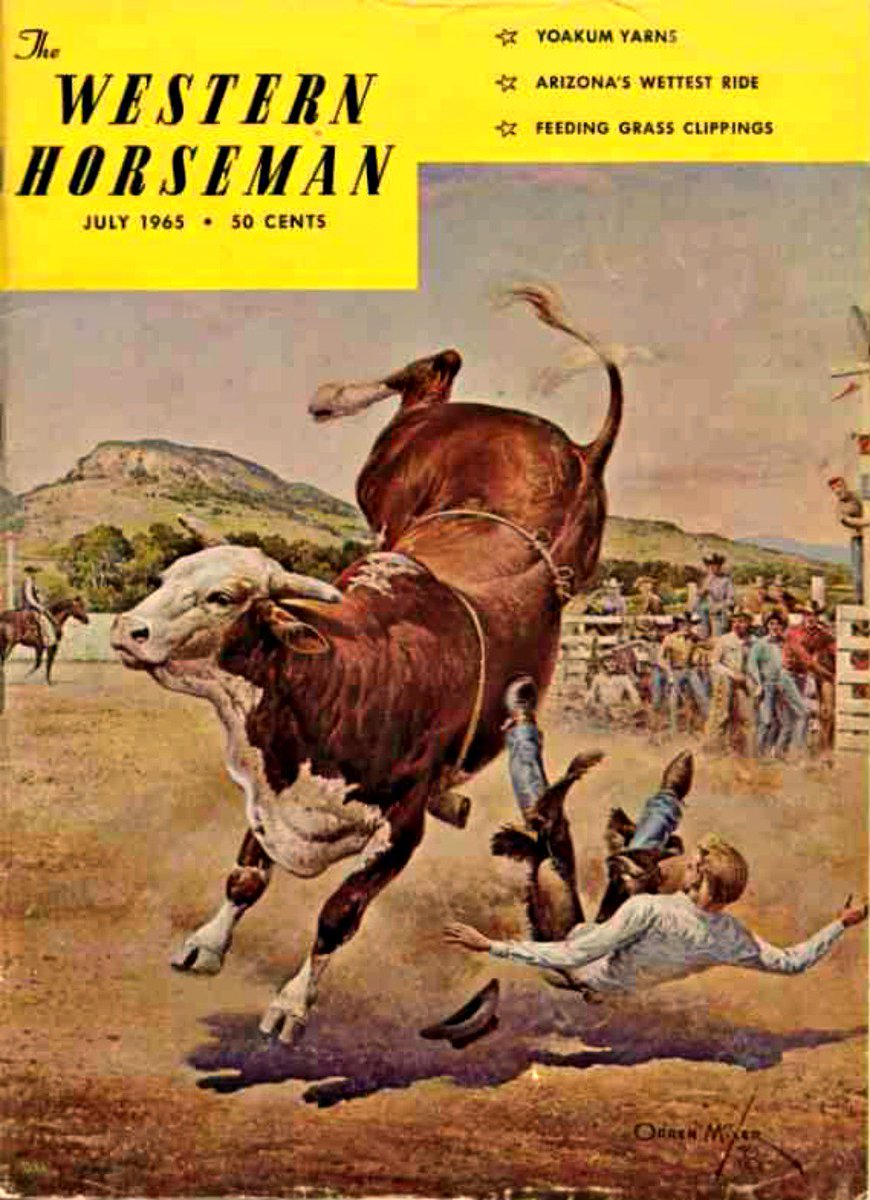 870x1200 The Bull Riding Hof On Twitter Tornado - Bull Riding Painting