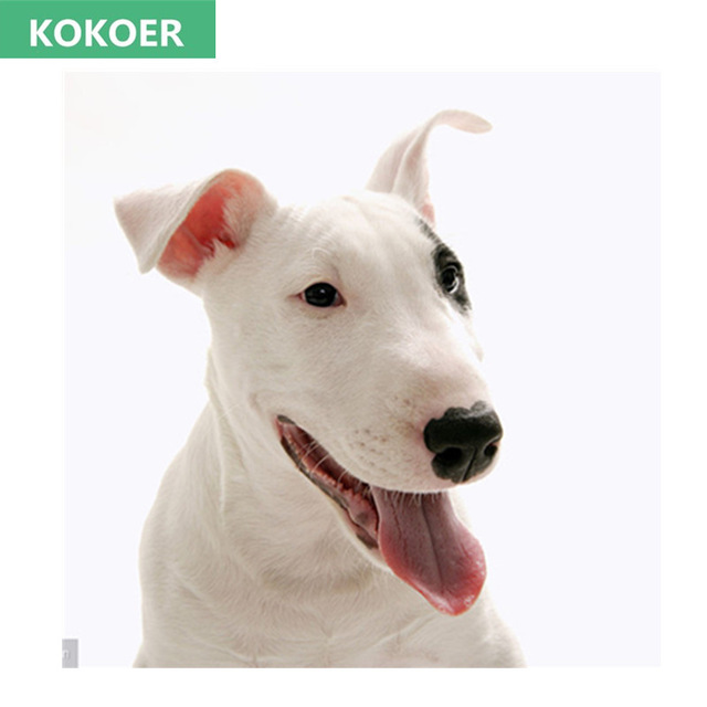 Bull Terrier Painting