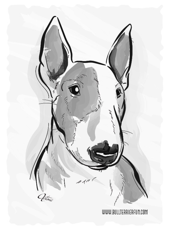 566x764 Bull Terrier Water Color Painting Of My Dog Mila - Bull Terrier Painting