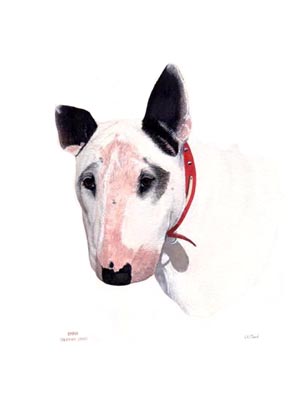 300x400 Dog Portraits English Bull Terrier Watercolour Painting Of Emma By - Bull Terrier Painting