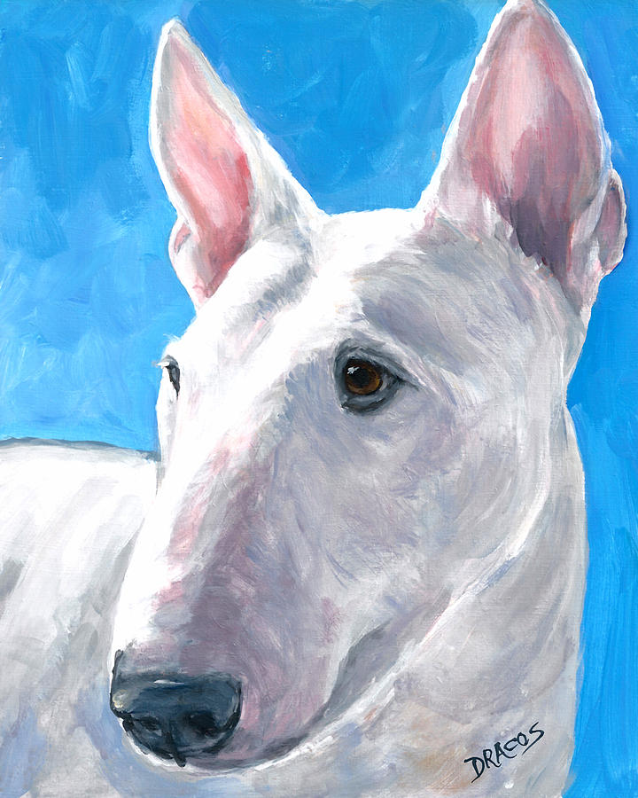 720x900 English Bull Terrier On Blue Painting By Dottie Dracos - Bull Terrier Painting