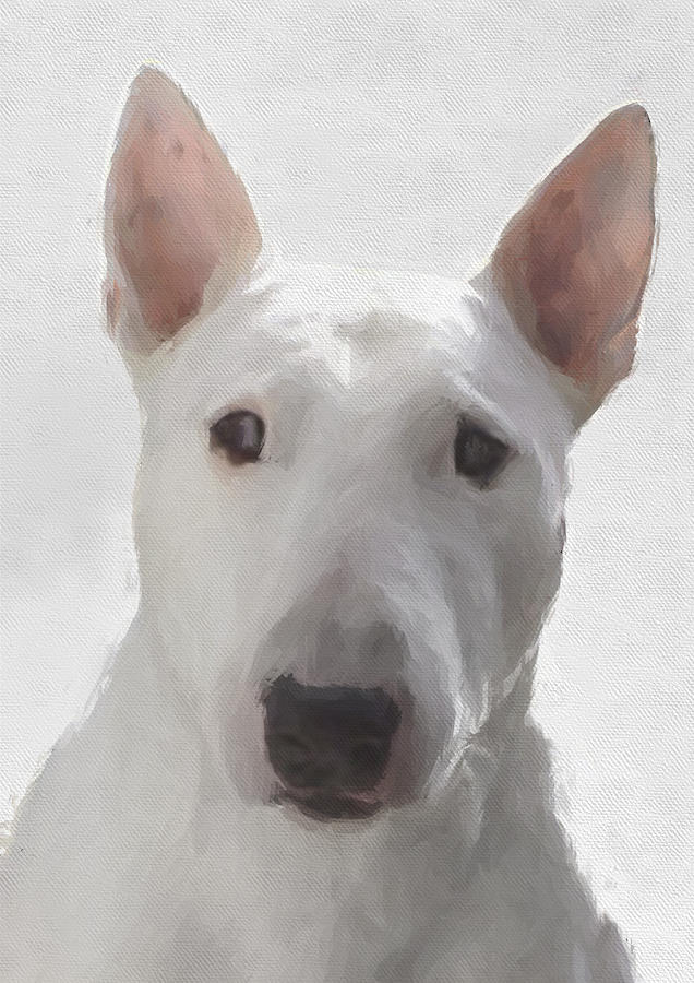 636x900 English Bull Terrier Painting By Jg Keevil - Bull Terrier Painting