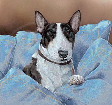 380x356 English Bull Terrier Paintings In Dog Original Paintings - Bull Terrier Painting