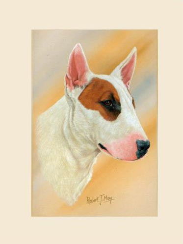 373x497 Original Bull Terrier Painting - Bull Terrier Painting
