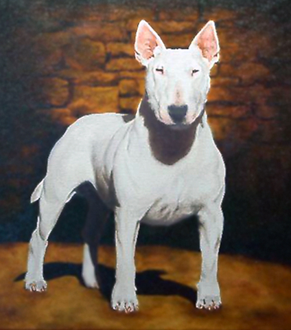 424x480 Bull Terrier Club The Bull Terrier Club Of Tampa Bay - Bull Terrier Painting