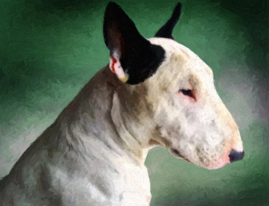 900x691 Bull Terrier On Green Painting By Michael Tompsett - Bull Terrier Painting