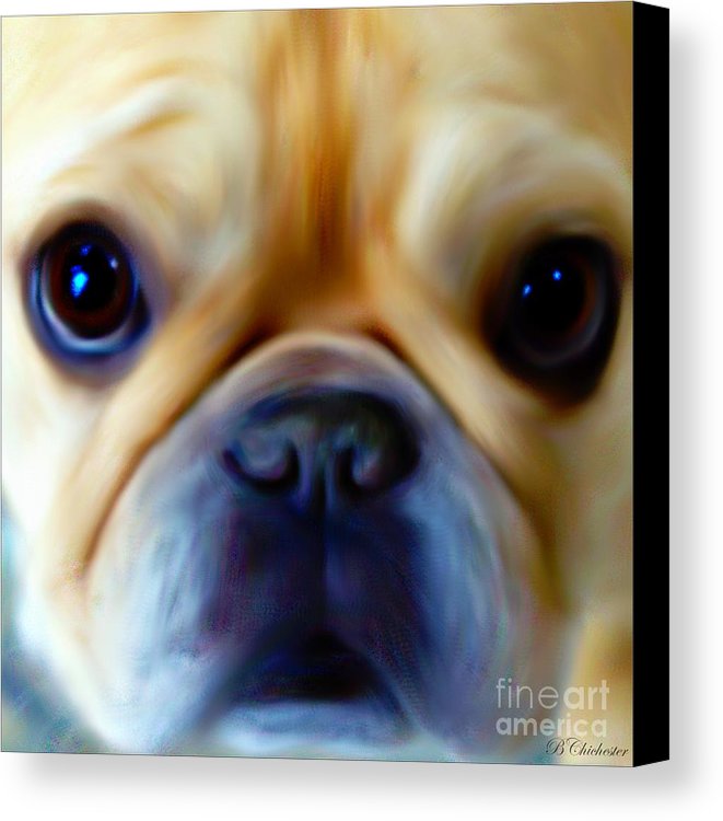 661x750 Little Frenchie Face Canvas Print Canvas Art By Barbara Chichester - Bulldog Face Painting