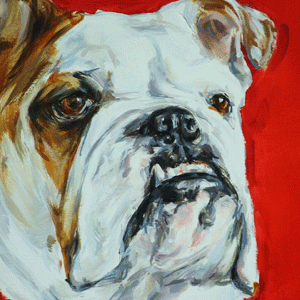 300x300 Dog Art By Paintmydog - Bulldog Oil Painting
