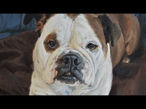 480x360 Dog Portrait, Oil Painting Of Bulldog, Time Lapse, Speed Painting - Bulldog Oil Painting