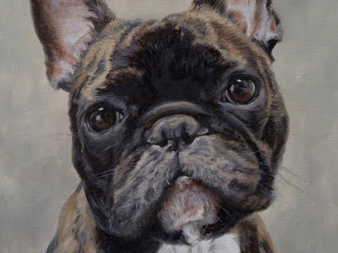 480x360 Dog Portrait, Oil Painting Of French Bulldog Fern Time Lapse - Bulldog Oil Painting