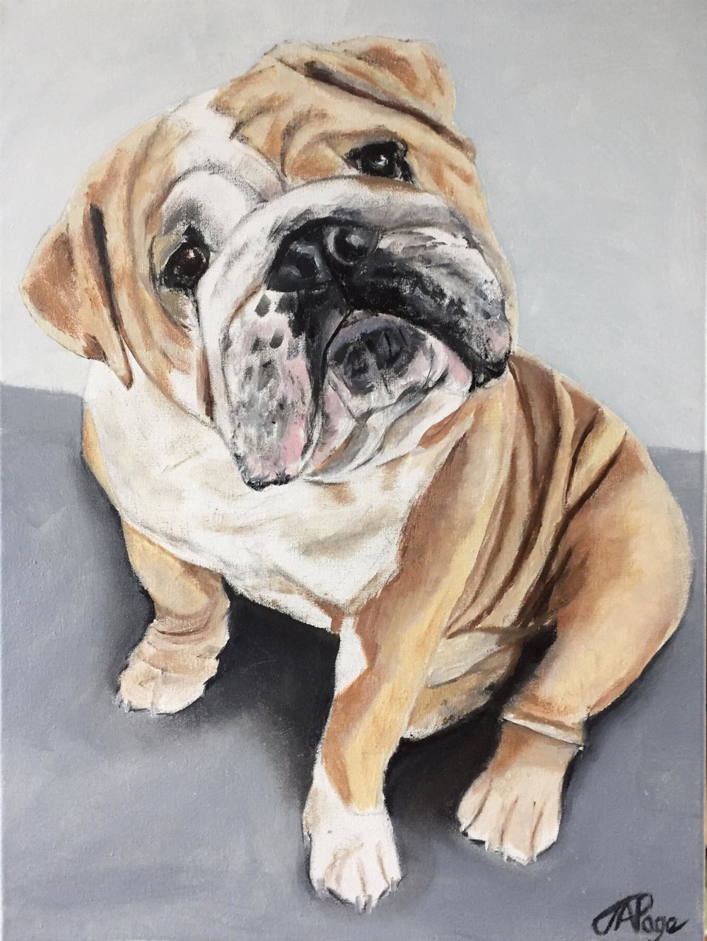 1000x1330 English Bulldog 12 By 16 Inch Oil Painting Dog On Canvas By - Bulldog Oil Painting