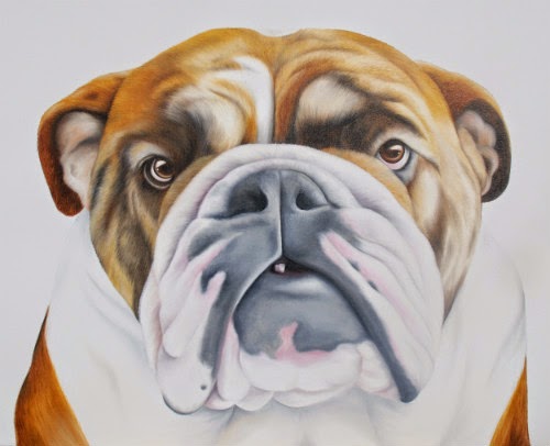 500x406 Marley Amp Nelly The Bulldogs Pet Portraits Dorset Uk Artist Paints - Bulldog Oil Painting