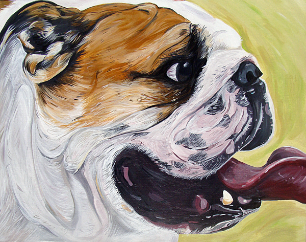 600x473 English Bulldog Dog Art Painting Woof Factory - Bulldog Painting