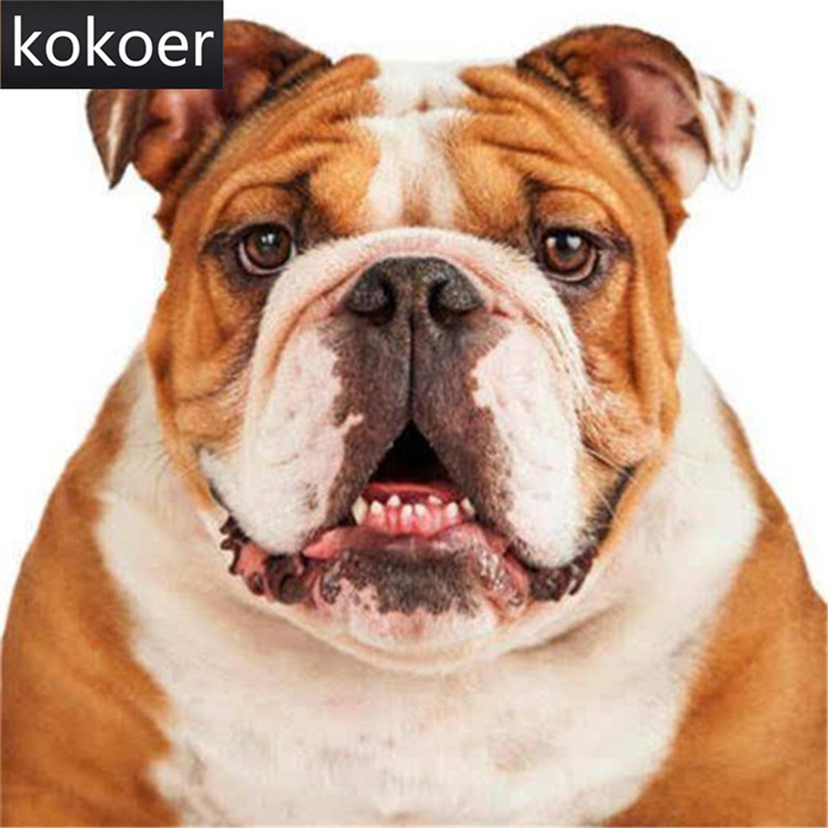 750x750 Square,diamond Embroidery,5d,diamond Painting,french Bulldog Dog - Bulldog Painting