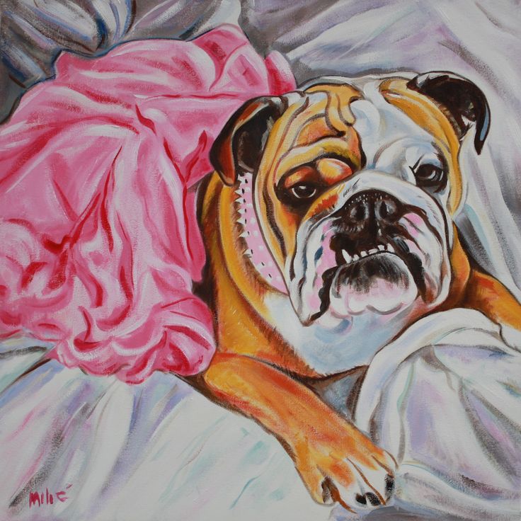 736x736 The 227 Best Bulldog Art Images On English Bulldogs - Bulldog Painting