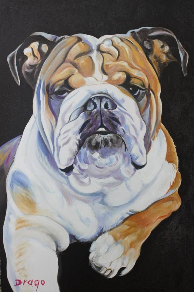 639x960 Bulldog Painting By Drago Milic Bulldogs English - Bulldog Painting