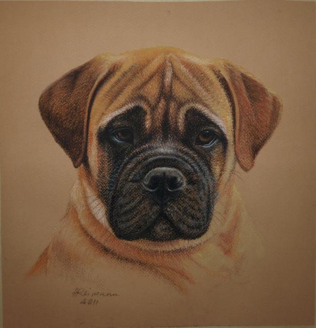 650x673 Bullmastiff Puppy By Artbyanur - Bullmastiff Painting